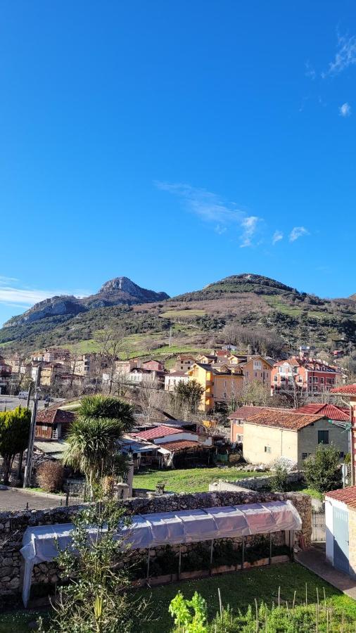 Casa Rural El Torrejon Arenas De Cabrales Zewnętrze zdjęcie