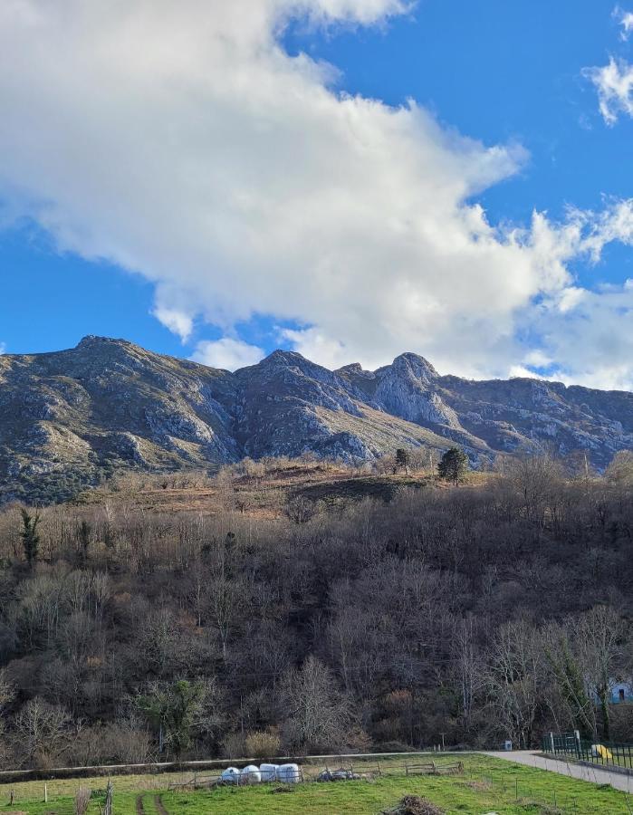 Casa Rural El Torrejon Arenas De Cabrales Zewnętrze zdjęcie